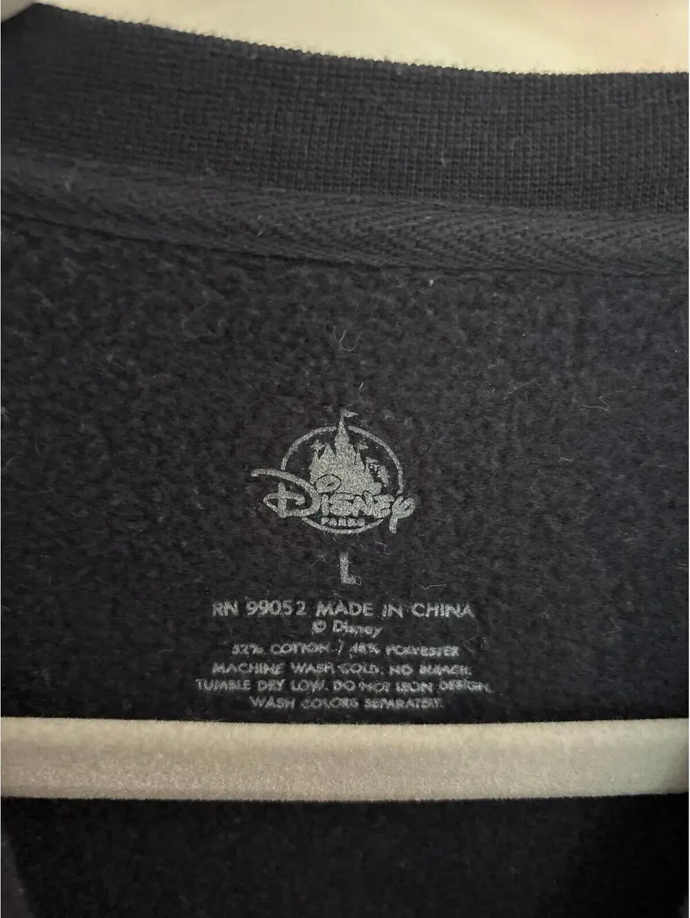 Disney Animal Kingdom Mount Everest Graphic Sweatshirt